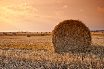 Roll of hay on sunset © Yuriy Korzhenevskyy