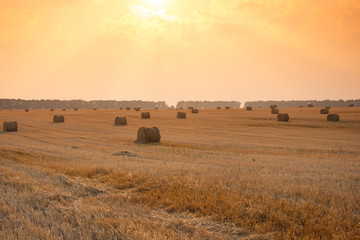 Obraz premium Rolls of hay on sunset