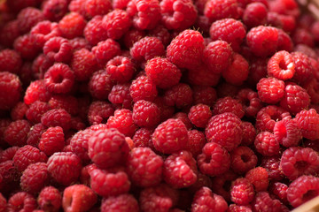 Organic ripe raspberries