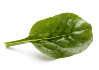 Baby spinach leaves isolated on white background cutout