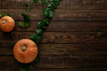 Pumpkin and ivy on dark wood table. Top view
