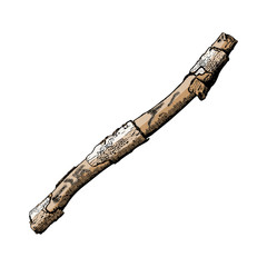 Hand drawn branch. Ink illustration. Watercolor imitation painted tree twig.