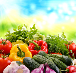Variety of fresh organic vegetables