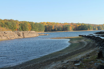 On the Edge of the Lake in Autumn