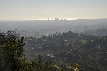 Fototapeta premium Los Angeles Skyline in Distance #9