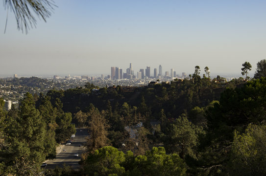 Los Angeles Downtown Skyline in Distance #3