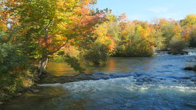 4K Niagara River Fall Foliage