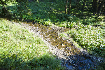 Mountain beautiful River in the Carpathians