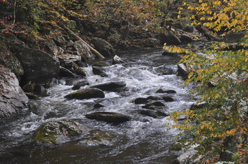 Streaming through Autumn colors