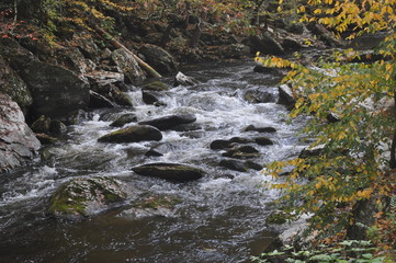 White water and rocks