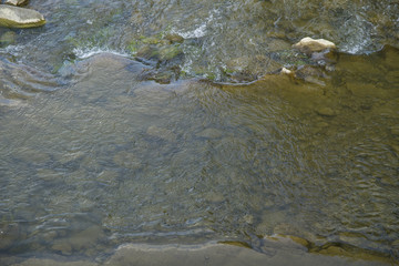 Mountain beautiful River in the Carpathians