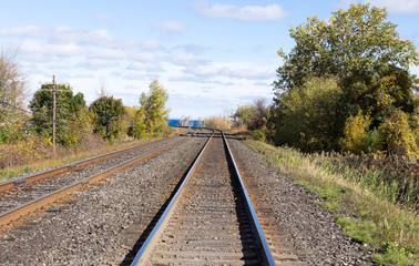 Fototapeta premium Train tracks edged by trees.
