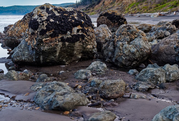 Ruby Beach