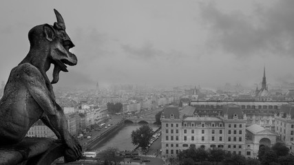 Paris skyline and Seine River