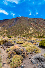 Volcanic landscape with erosion and sparse vegetation, Teide National Park. Tenerife, Canary islands, Spain