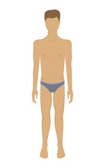 Man body. Male body in underwear. Vector illustration human anatomy - front view. Colored template of man's figure. Isolated on white background