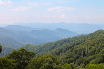 Fototapeta na wymiar Mountains of Great Smoky Mountains National Park