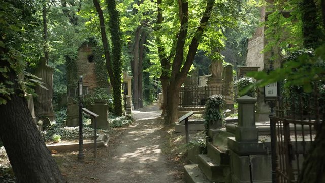 Slowly crossing a lane in the Olsany Cemetery in Prague, Czech Republic.  Sun covered leaves overhead. 4k.