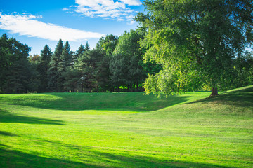 Park afternoon in sunny day with Blue Sky, Beautiful day in the