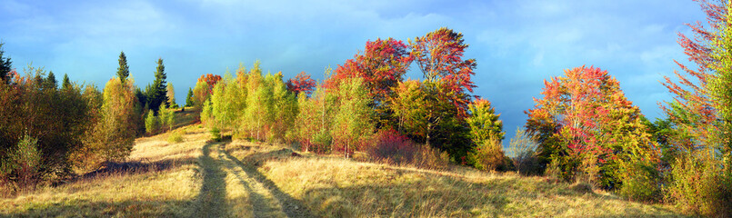 Fototapeta premium In the Carpathians, golden autumn