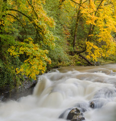 Nisqually River Middle falls close up