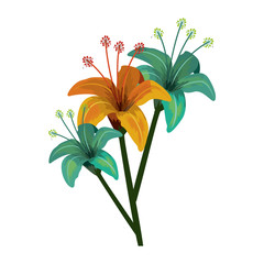 colorful beautiful tropical flowers over white background. vector illustration