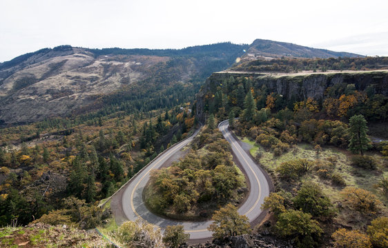 Rowena Curves