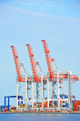 Port cargo crane and container