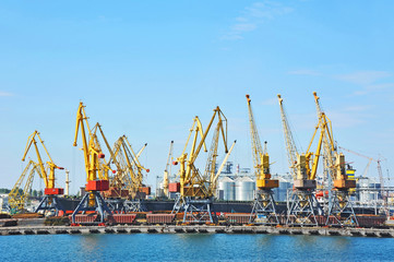 Fototapeta na wymiar Port cargo crane