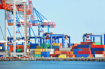 Port cargo crane and container