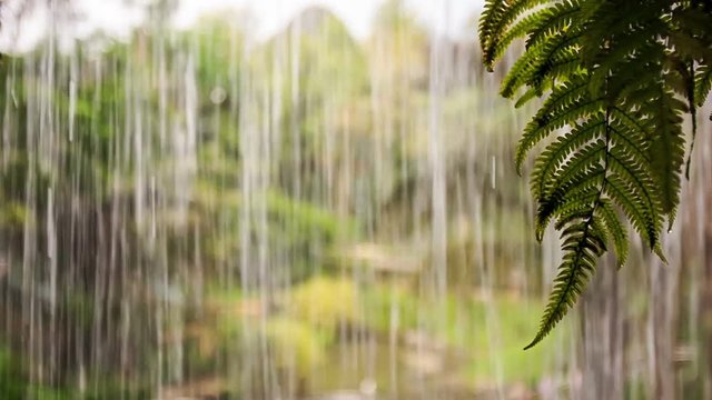 Water Drops Streams Flow as Wall for Heavy Shower