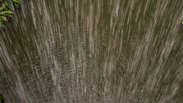 Water Drops Streams Flow as Wall for Heavy Shower
