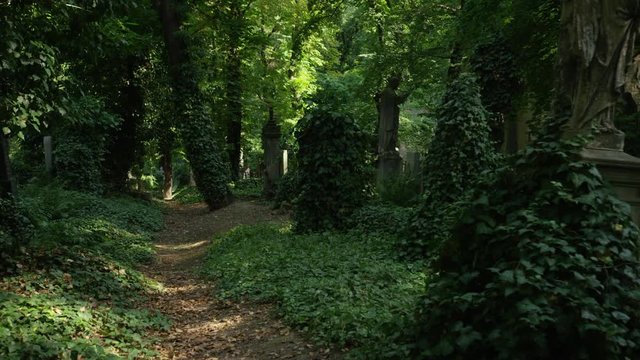 Moving backwards down a path in a cemetery with vine covered headstones and statues. Prague, Czech Republic. 4k.