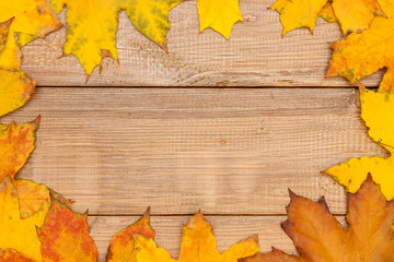 Colorful maple leaves on the wooden background. Autumn background.