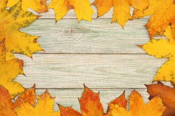 Colorful maple leaves on the wooden background. Autumn background.