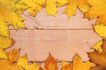 Colorful maple leaves on the wooden background. Autumn background.