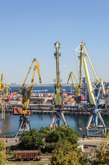 Fototapeta na wymiar Cranes in Commercial Sea Port