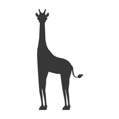 silhouette with giraffe wild animal vector illustration
