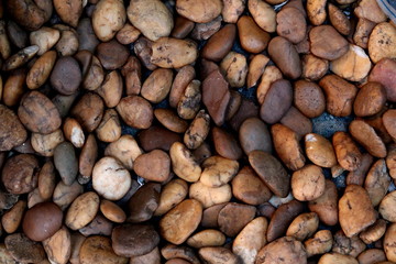 Stones on the ground 