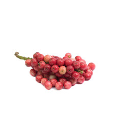 Antidesma thwaitesianum isolated on white background