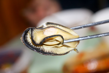 oyster / clam / seafood / 굴 / 해산물 / 조개
