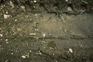 Mud and water texture