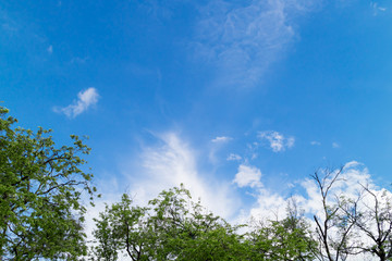 Blue sky with clouds