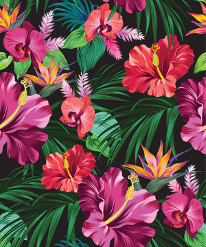 hibiscus vector pattern