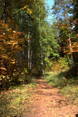 Obraz premium природа