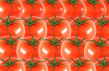 whole tomato  abstract seamless pattern background