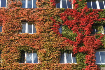 Fototapeta na wymiar Herbst in Berlin / Hausfassade in Berlin-Schöneberg