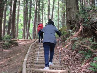 Obraz premium 登山 山歩きを楽しむ 子ども達 親子 階段 登る 山道