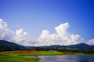 Fototapeta premium lake landscape with blue sky and clouds in summer