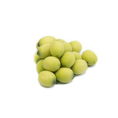 lotus pods seed on white